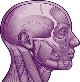 Head