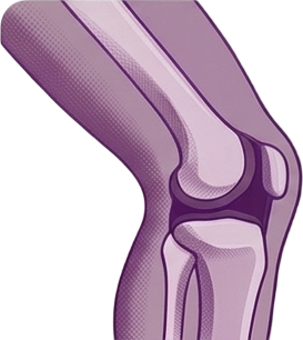 Knee
